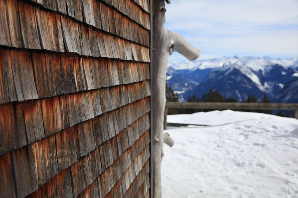 Cedar Siding Repair in Novato
