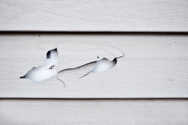 Siding Leak Repair in Novato