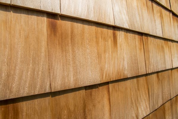 Cedar Siding Replacement in Novato