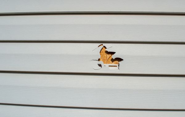 Siding Hole Patching in Novato