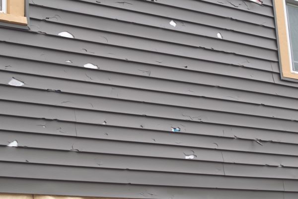 Damaged Siding Replacement in Novato